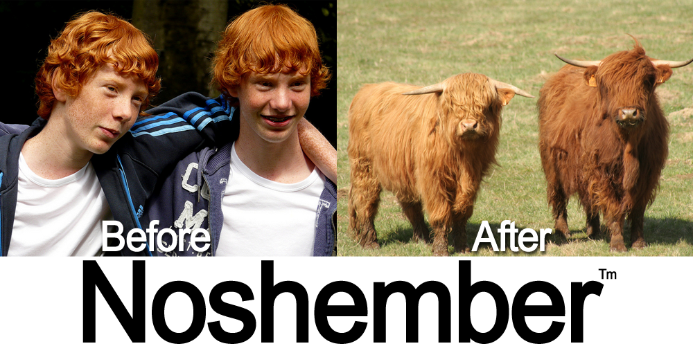 No shave november summed up in one image