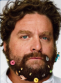 Zach Galifianakis Beard