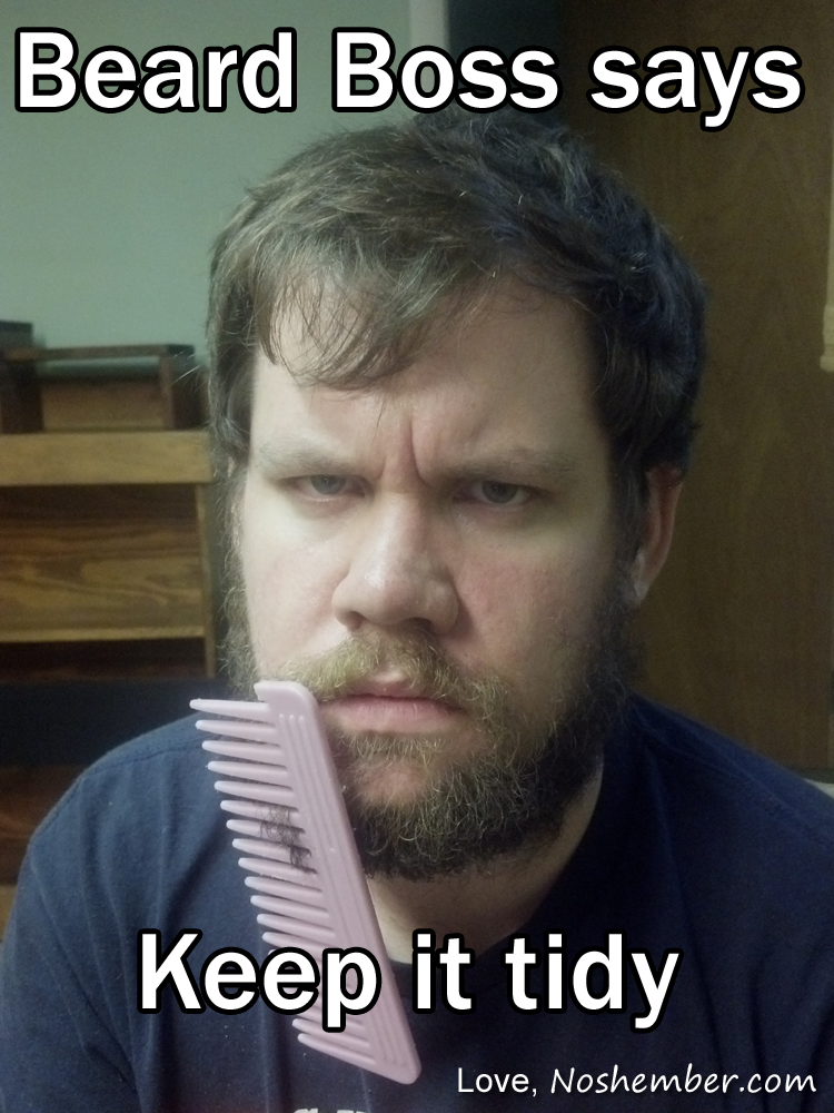 keep-it-tidy-noshember no shave november beard boss